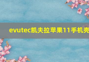 evutec凯夫拉苹果11手机壳