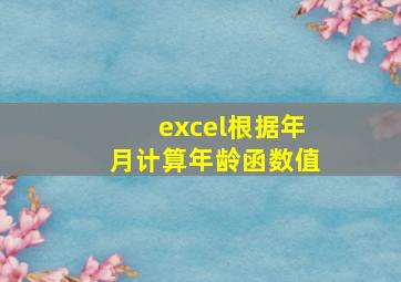 excel根据年月计算年龄函数值