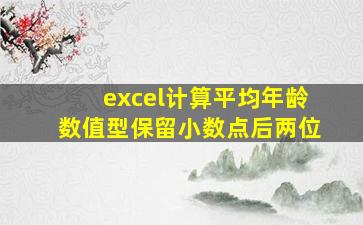 excel计算平均年龄数值型保留小数点后两位