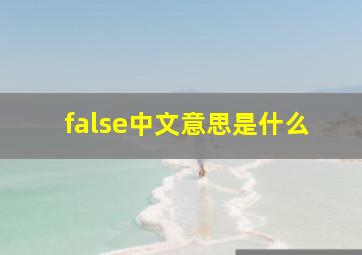 false中文意思是什么