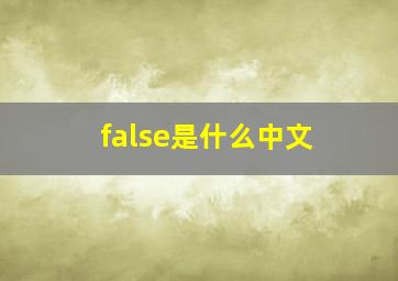 false是什么中文