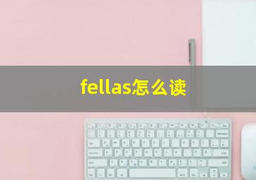 fellas怎么读