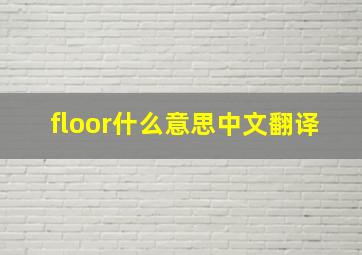 floor什么意思中文翻译