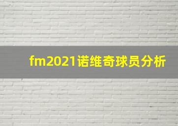 fm2021诺维奇球员分析