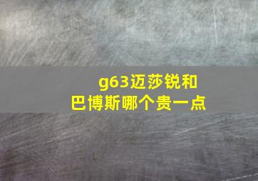 g63迈莎锐和巴博斯哪个贵一点