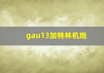 gau13加特林机炮