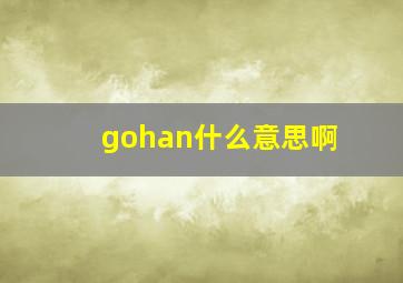 gohan什么意思啊