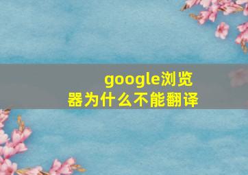 google浏览器为什么不能翻译