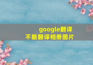 google翻译不能翻译相册图片