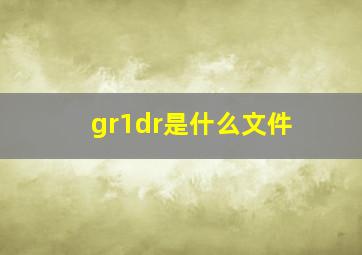 gr1dr是什么文件