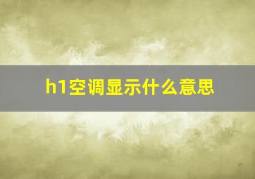 h1空调显示什么意思