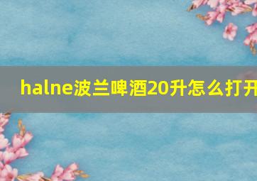 halne波兰啤酒20升怎么打开