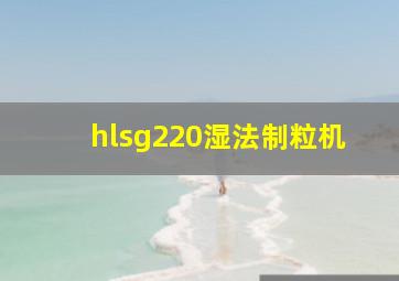 hlsg220湿法制粒机