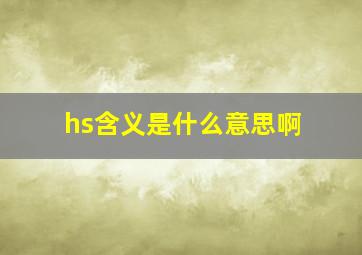 hs含义是什么意思啊