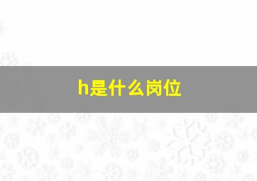 h是什么岗位