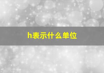 h表示什么单位