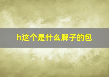 h这个是什么牌子的包