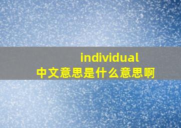 individual中文意思是什么意思啊