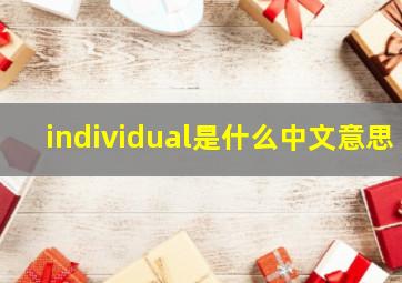 individual是什么中文意思