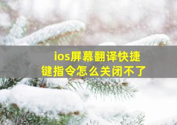 ios屏幕翻译快捷键指令怎么关闭不了