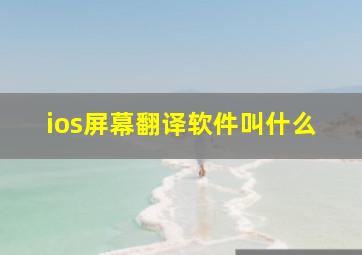 ios屏幕翻译软件叫什么