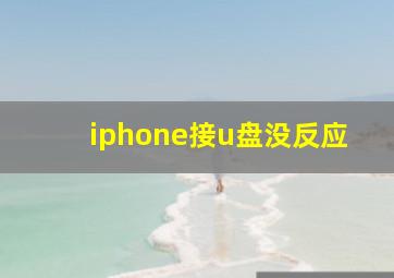 iphone接u盘没反应