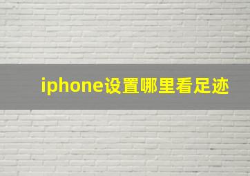 iphone设置哪里看足迹