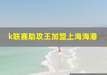 k联赛助攻王加盟上海海港