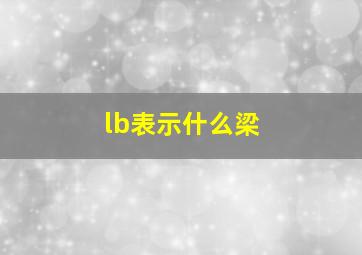 lb表示什么梁