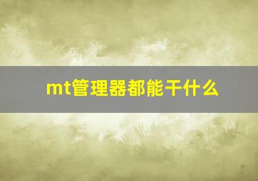 mt管理器都能干什么