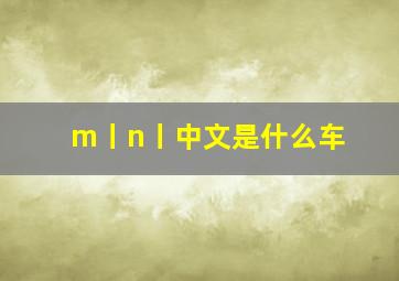 m丨n丨中文是什么车