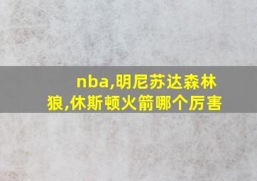 nba,明尼苏达森林狼,休斯顿火箭哪个厉害