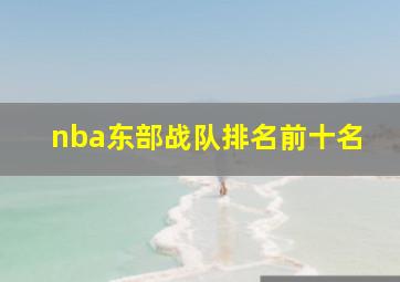 nba东部战队排名前十名