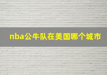 nba公牛队在美国哪个城市