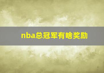 nba总冠军有啥奖励