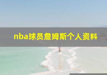 nba球员詹姆斯个人资料