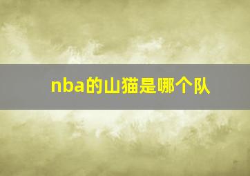 nba的山猫是哪个队