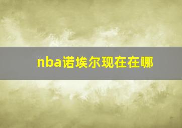 nba诺埃尔现在在哪