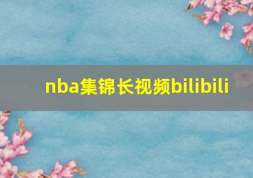 nba集锦长视频bilibili