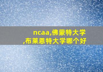 ncaa,佛蒙特大学,布莱恩特大学哪个好