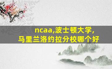 ncaa,波士顿大学,马里兰洛约拉分校哪个好