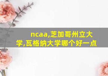 ncaa,芝加哥州立大学,瓦格纳大学哪个好一点