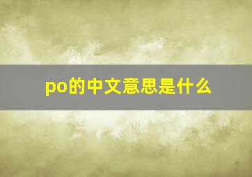 po的中文意思是什么