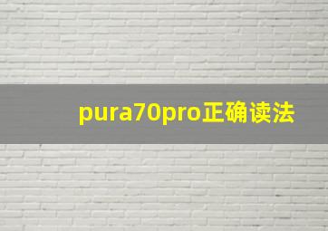 pura70pro正确读法