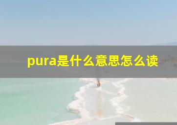 pura是什么意思怎么读