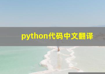 python代码中文翻译