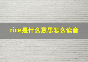 rice是什么意思怎么读音