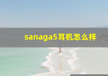 sanaga5耳机怎么样