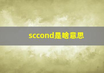 sccond是啥意思