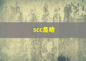 scc是啥